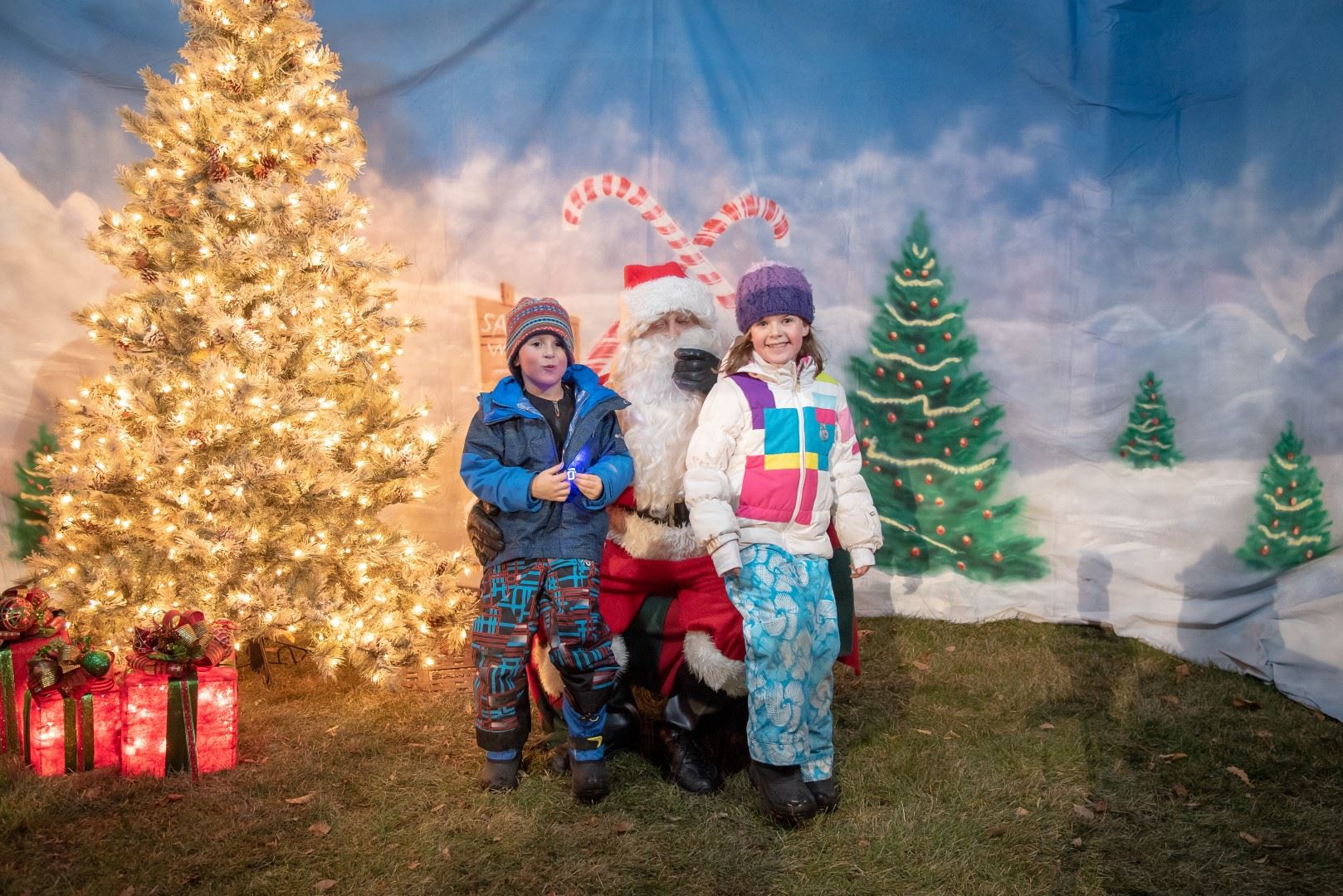 BL-203457-6024 (Large)