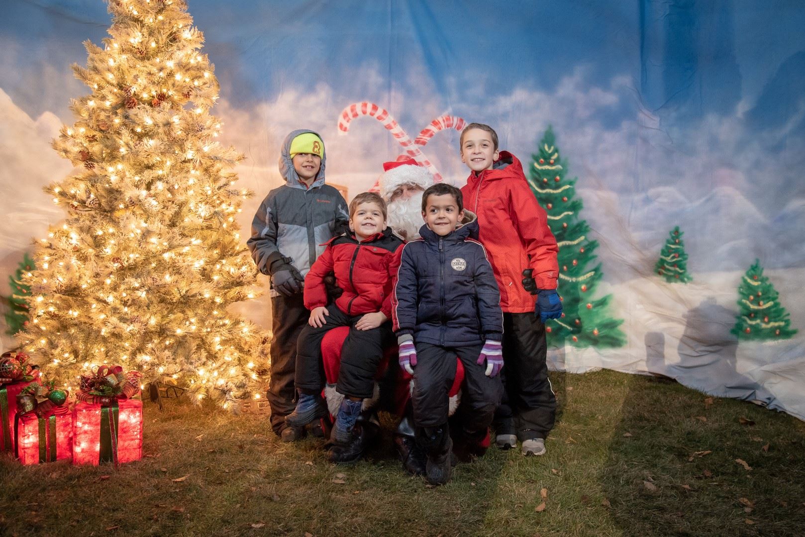 BL-203225-6015 (Large)