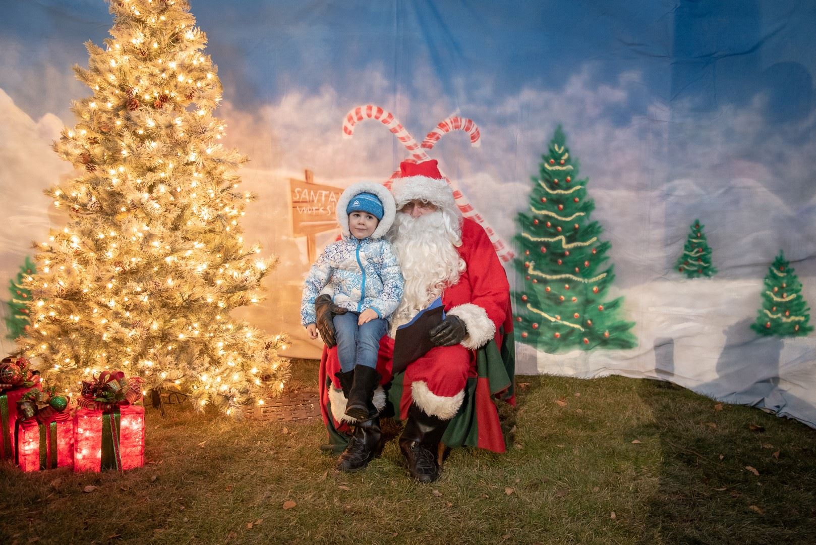 BL-203001-6010 (Large)