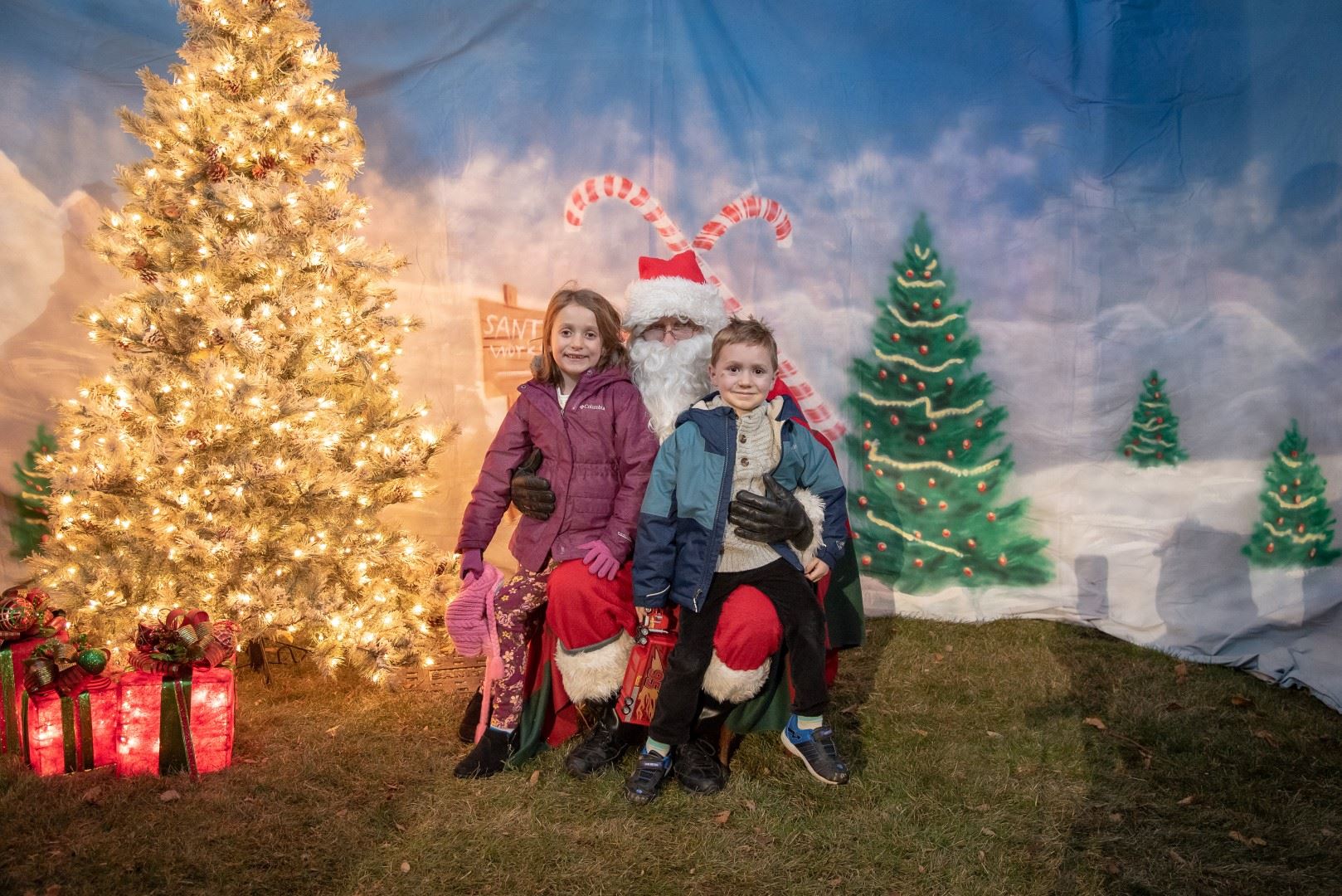 BL-202421-5990 (Large)