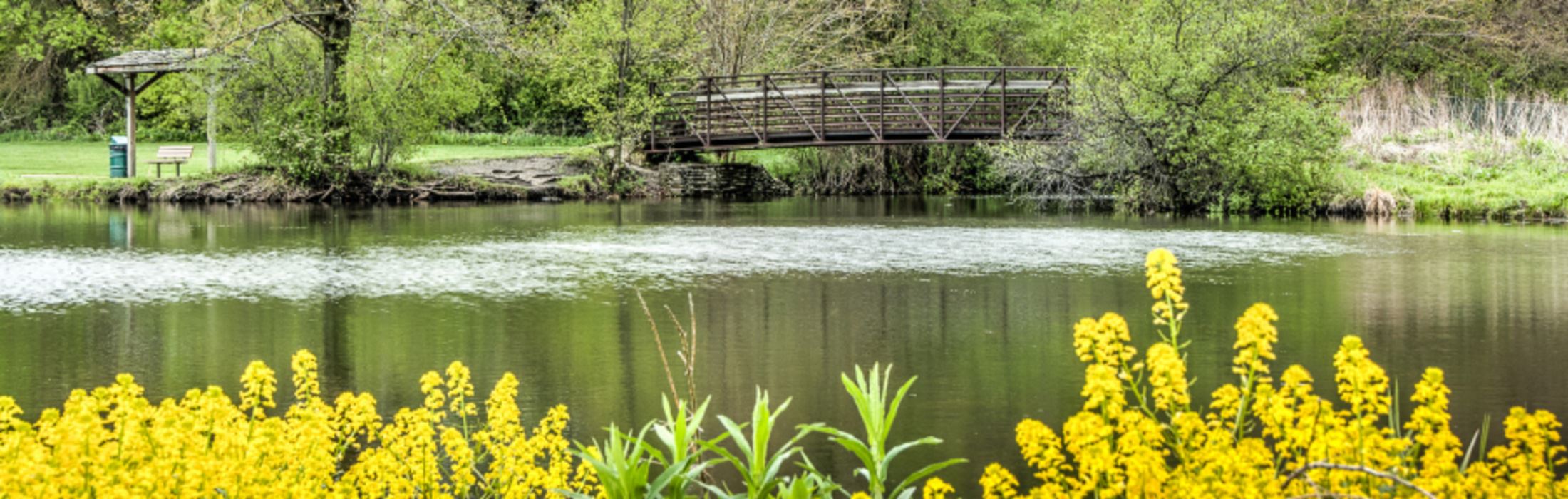 A spring view of a river with a bridge and yellow flowers.
